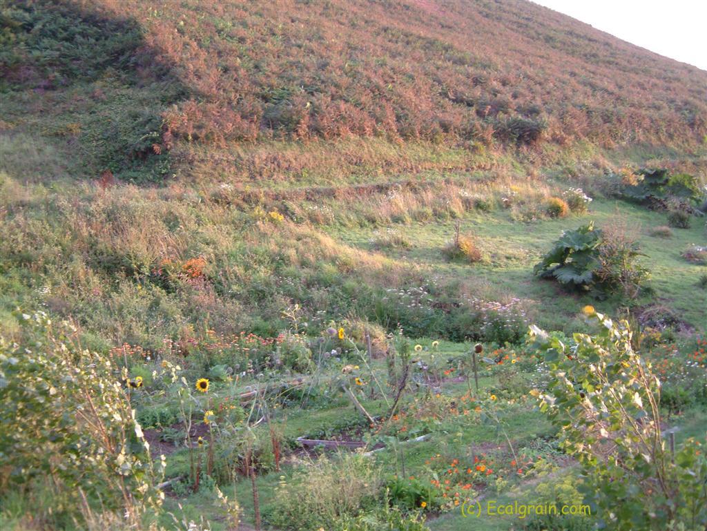 Photo du 13/08/2004 à 20:58:57